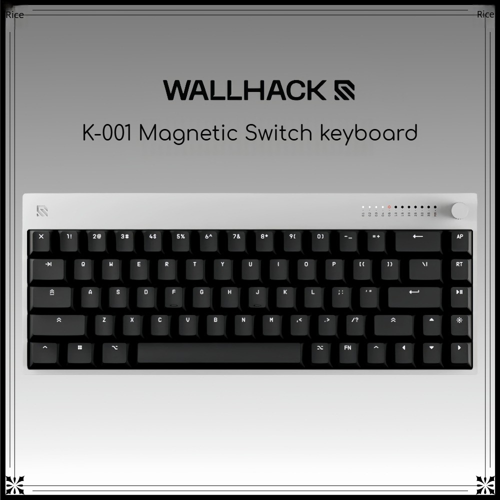 WALLHACK K-001 Hall Effect Mag - огляд і ціна Gaming Keyboard Hall Effect Switches